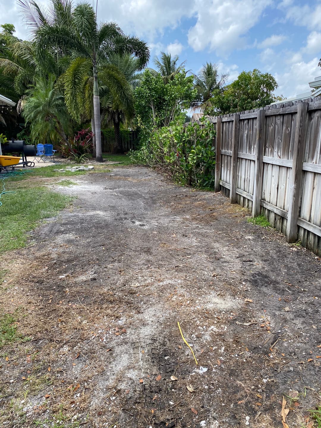 Dry, barren backyard area with sparse vegetation and a wooden fence under a cloudy sky.