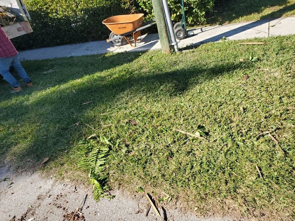 Lawn maintenance scene with grass clippings, a wheelbarrow, and a person working.