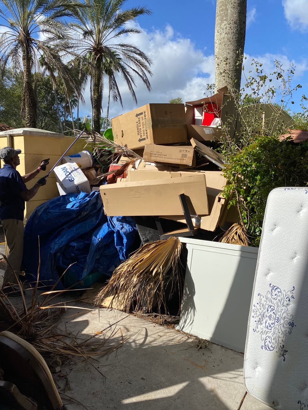 Pile of cardboard boxes and debris under palm trees, with blue tarp and discarded furniture.